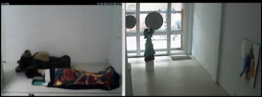 Frame del streaming de la siesta. A la izquierda el sueño en el interior, a la derecha, el ajetreo del exterior